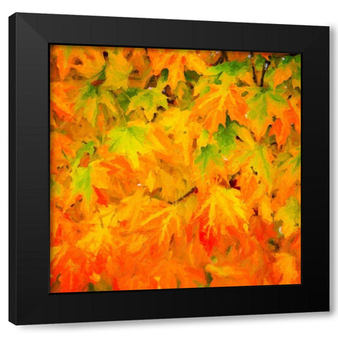 Autumn Leaves I Black Modern Wood Framed Art Print with Double Matting by Hausenflock, Alan