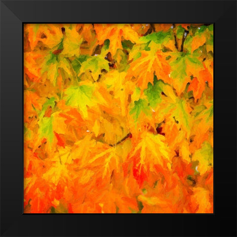 Autumn Leaves I Black Modern Wood Framed Art Print by Hausenflock, Alan