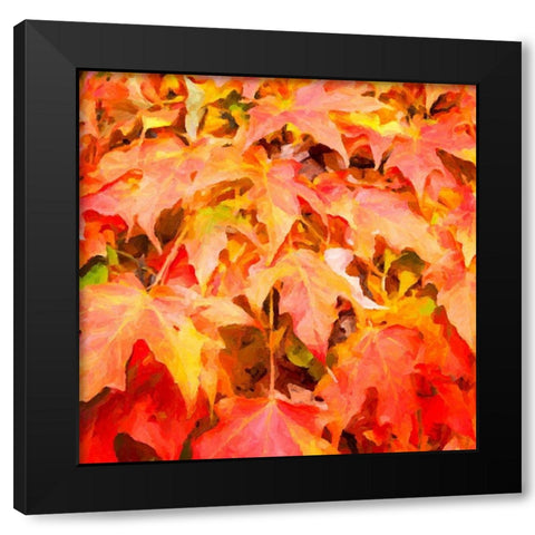 Autumn Leaves II Black Modern Wood Framed Art Print with Double Matting by Hausenflock, Alan