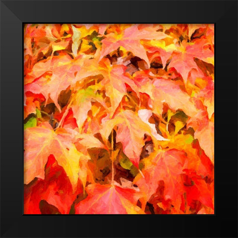 Autumn Leaves II Black Modern Wood Framed Art Print by Hausenflock, Alan