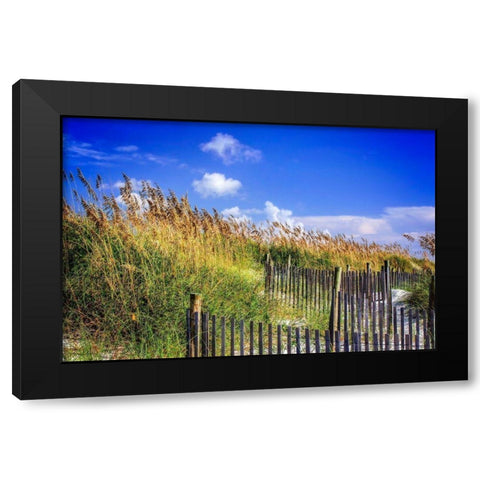 Summer at the Beach I Black Modern Wood Framed Art Print with Double Matting by Hausenflock, Alan