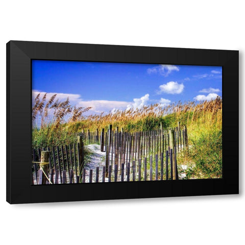 Summer at the Beach II Black Modern Wood Framed Art Print with Double Matting by Hausenflock, Alan