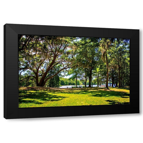 Beside the Ashley River Black Modern Wood Framed Art Print with Double Matting by Hausenflock, Alan