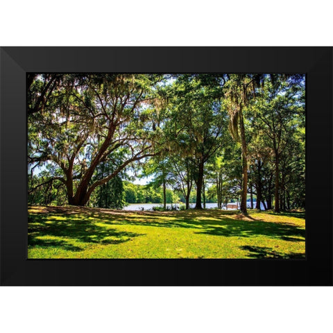 Beside the Ashley River Black Modern Wood Framed Art Print by Hausenflock, Alan