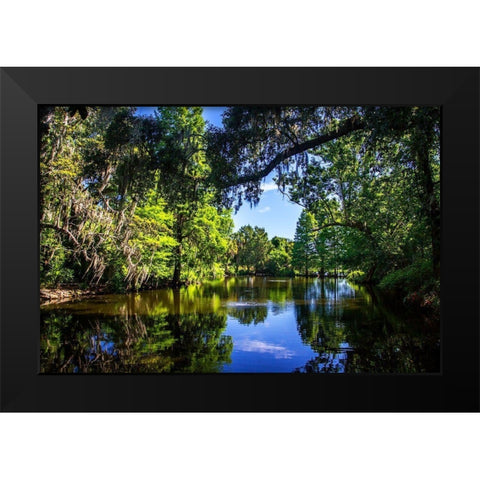 Draytons Pond Black Modern Wood Framed Art Print by Hausenflock, Alan