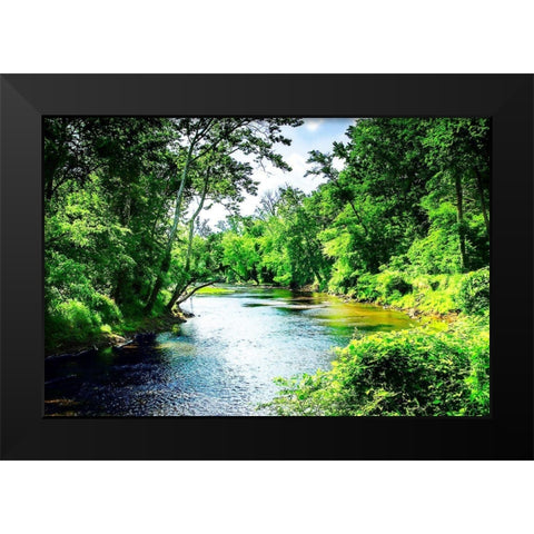 Summer Day on the Neuse River Black Modern Wood Framed Art Print by Hausenflock, Alan