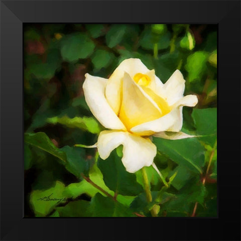 A Single Rose I Black Modern Wood Framed Art Print by Hausenflock, Alan