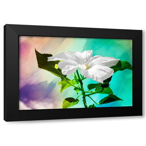 Summer Flower Black Modern Wood Framed Art Print with Double Matting by Hausenflock, Alan