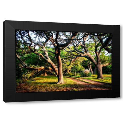 Lenoxville Point II Black Modern Wood Framed Art Print with Double Matting by Hausenflock, Alan