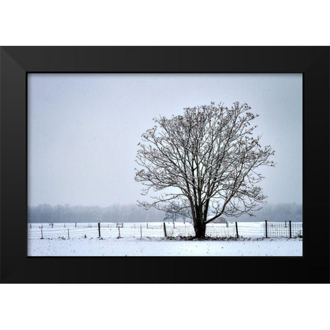 Snowbound I Black Modern Wood Framed Art Print by Hausenflock, Alan