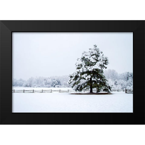 Snowy Sentinel Black Modern Wood Framed Art Print by Hausenflock, Alan