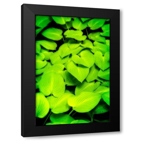 Heart Profusion Black Modern Wood Framed Art Print with Double Matting by Hausenflock, Alan