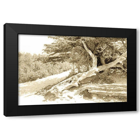 Carmel Beach I Black Modern Wood Framed Art Print by Hausenflock, Alan