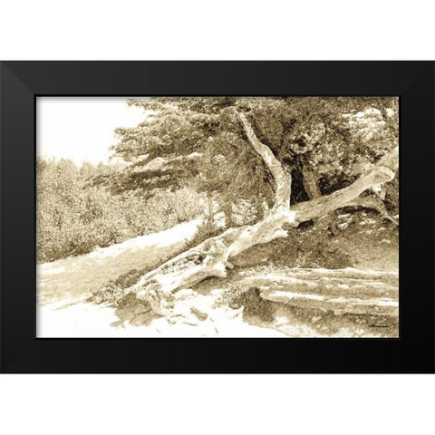 Carmel Beach I Black Modern Wood Framed Art Print by Hausenflock, Alan