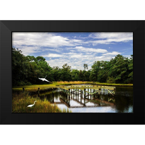 Egret on the Wing Black Modern Wood Framed Art Print by Hausenflock, Alan