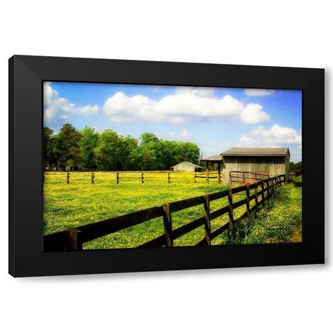 Spring on the Ranch Black Modern Wood Framed Art Print with Double Matting by Hausenflock, Alan