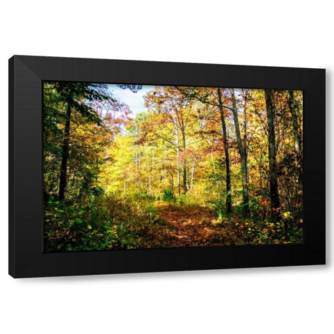 Autumn Colors Black Modern Wood Framed Art Print with Double Matting by Hausenflock, Alan