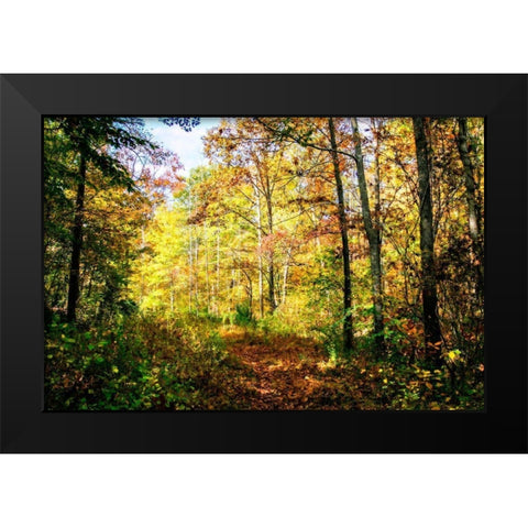Autumn Colors Black Modern Wood Framed Art Print by Hausenflock, Alan