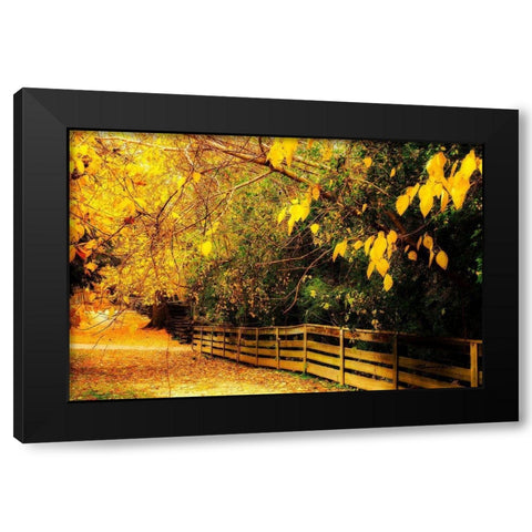 Autumns End Black Modern Wood Framed Art Print with Double Matting by Hausenflock, Alan