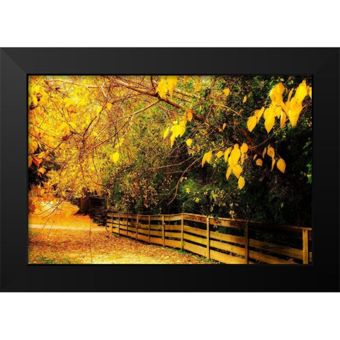 Autumns End Black Modern Wood Framed Art Print by Hausenflock, Alan