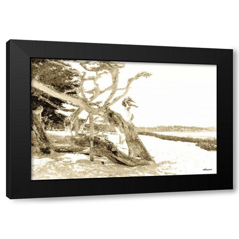 Carmel Beach II Black Modern Wood Framed Art Print with Double Matting by Hausenflock, Alan
