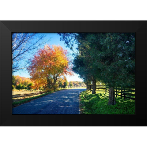 The Road Home II Black Modern Wood Framed Art Print by Hausenflock, Alan