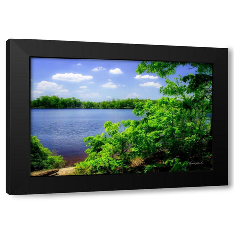 Swift Creek Lake Black Modern Wood Framed Art Print with Double Matting by Hausenflock, Alan