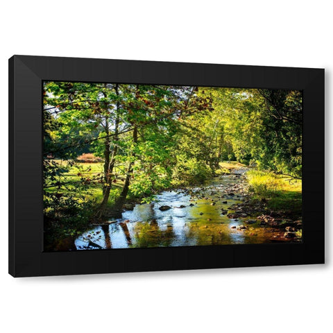 Happy Little Stream Black Modern Wood Framed Art Print with Double Matting by Hausenflock, Alan