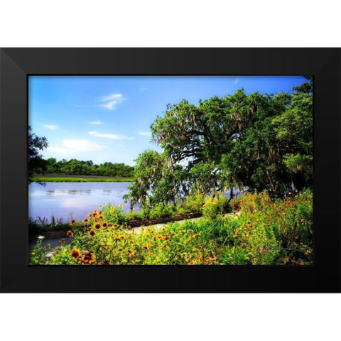 Flowers Along the River Black Modern Wood Framed Art Print by Hausenflock, Alan