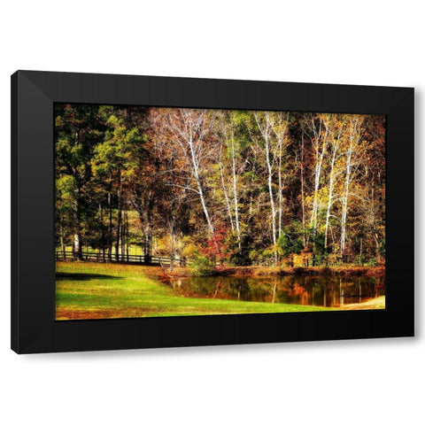 Horse Pond Black Modern Wood Framed Art Print with Double Matting by Hausenflock, Alan