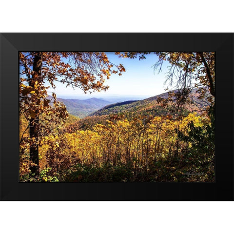 Blue Ridge Autumn Black Modern Wood Framed Art Print by Hausenflock, Alan