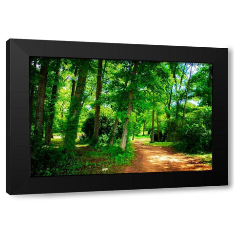 Barbourville Woods Black Modern Wood Framed Art Print with Double Matting by Hausenflock, Alan