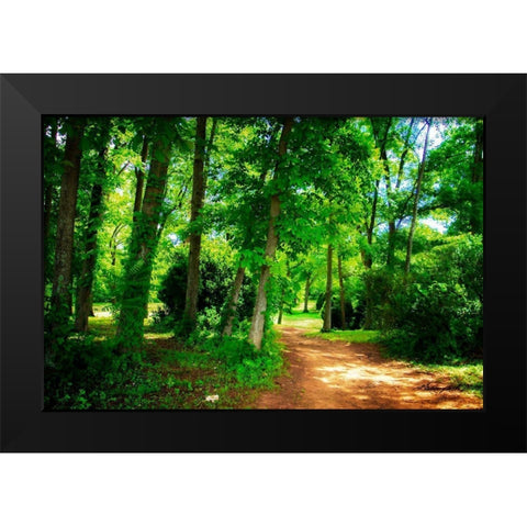 Barbourville Woods Black Modern Wood Framed Art Print by Hausenflock, Alan