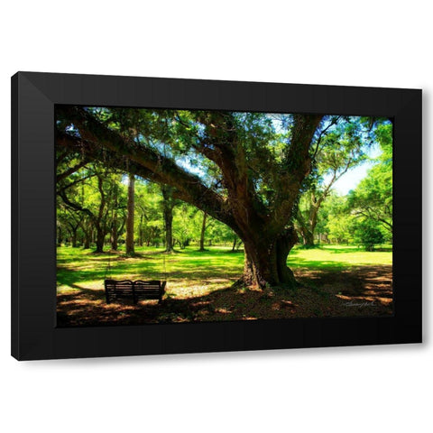 Tree Swing Black Modern Wood Framed Art Print by Hausenflock, Alan