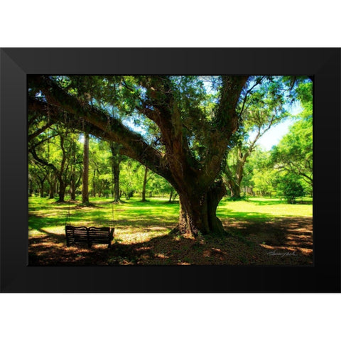 Tree Swing Black Modern Wood Framed Art Print by Hausenflock, Alan