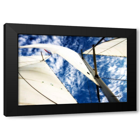 Windjammer II Black Modern Wood Framed Art Print with Double Matting by Hausenflock, Alan