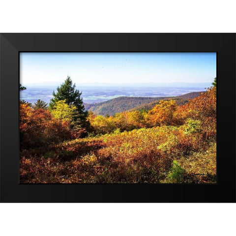 Skyline Drive 6 Black Modern Wood Framed Art Print by Hausenflock, Alan