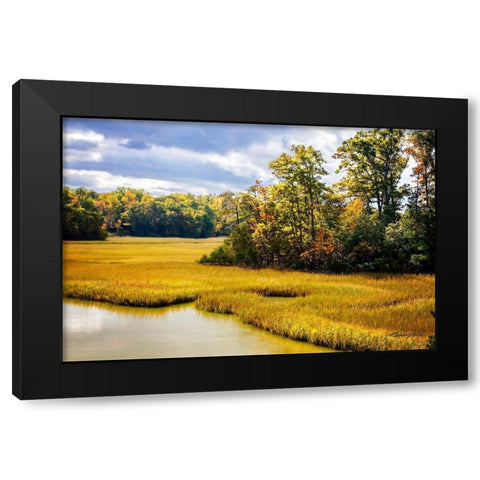 York River Delta Black Modern Wood Framed Art Print with Double Matting by Hausenflock, Alan