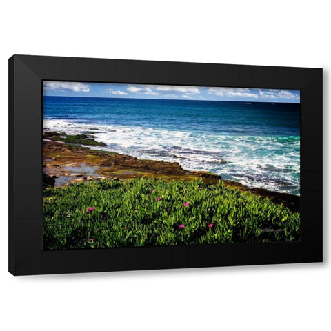 La Jolla Shore Black Modern Wood Framed Art Print with Double Matting by Hausenflock, Alan