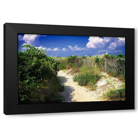 Sandy Walkway Black Modern Wood Framed Art Print by Hausenflock, Alan