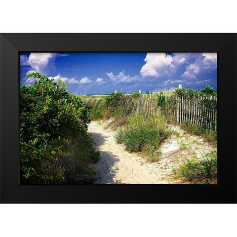 Sandy Walkway Black Modern Wood Framed Art Print by Hausenflock, Alan