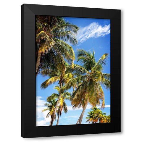 Sunlit Palms Black Modern Wood Framed Art Print with Double Matting by Hausenflock, Alan