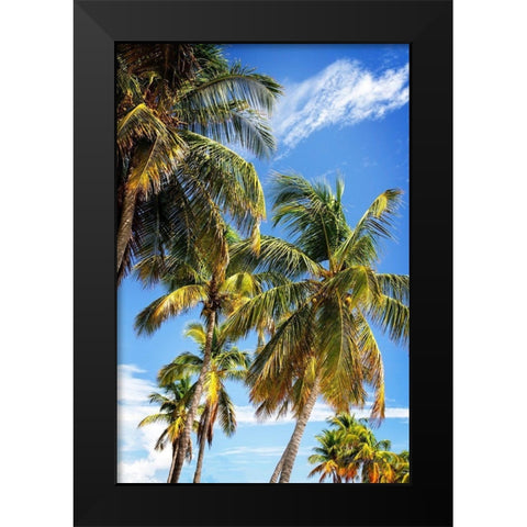 Sunlit Palms Black Modern Wood Framed Art Print by Hausenflock, Alan