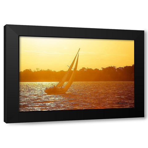 Sailing into the Gold Black Modern Wood Framed Art Print with Double Matting by Hausenflock, Alan