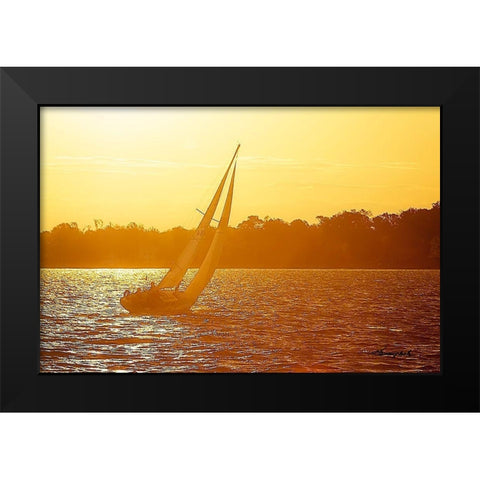 Sailing into the Gold Black Modern Wood Framed Art Print by Hausenflock, Alan