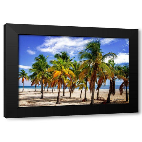 Palms on the Beach I Black Modern Wood Framed Art Print with Double Matting by Hausenflock, Alan