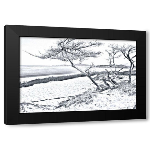 Carmel Beach IV Black Modern Wood Framed Art Print with Double Matting by Hausenflock, Alan