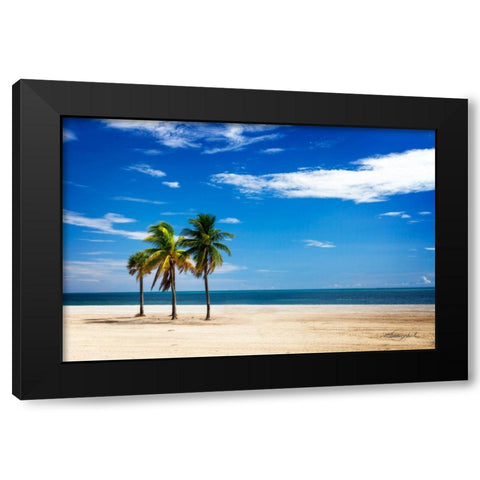 Palms on the Beach III Black Modern Wood Framed Art Print with Double Matting by Hausenflock, Alan