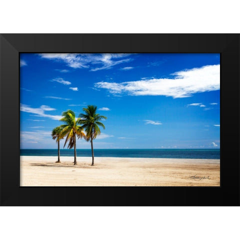 Palms on the Beach III Black Modern Wood Framed Art Print by Hausenflock, Alan