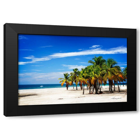 Palms on the Beach IV Black Modern Wood Framed Art Print with Double Matting by Hausenflock, Alan